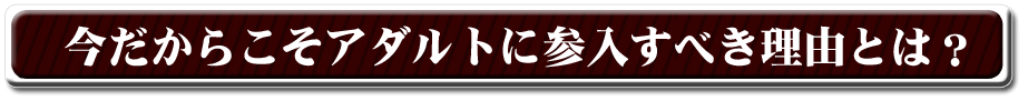 アダルト アフィリエイト 〜究極〜