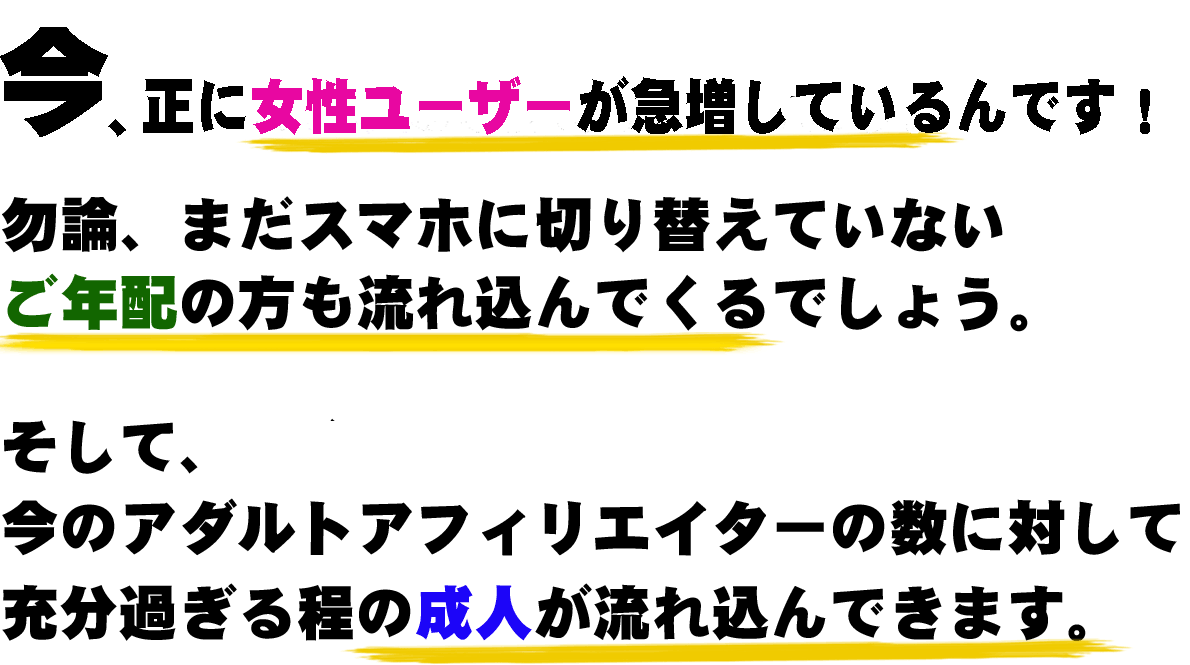 アダルト アフィリエイト 〜究極〜