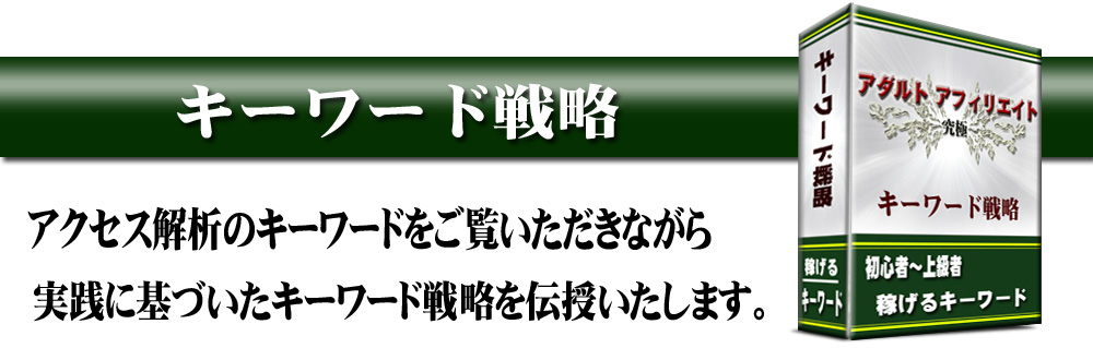 アダルト アフィリエイト 〜究極〜