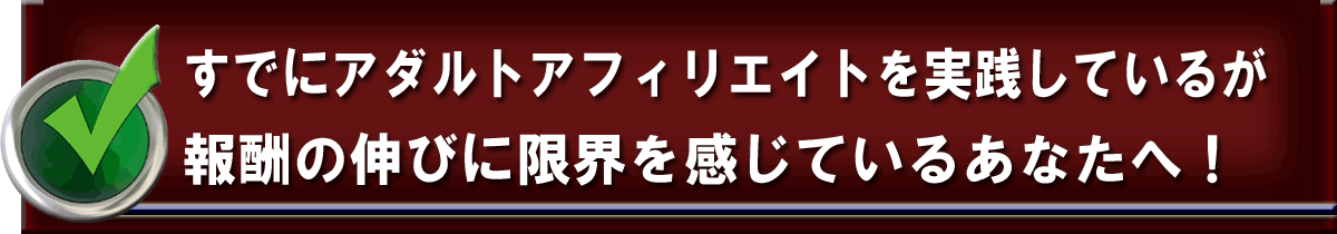 アダルト アフィリエイト 〜究極〜