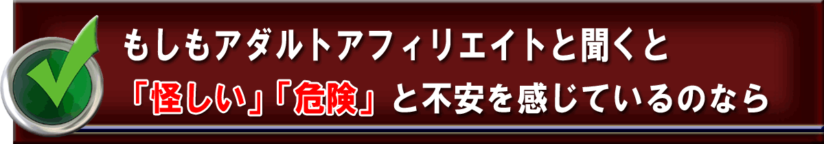 アダルト アフィリエイト 〜究極〜